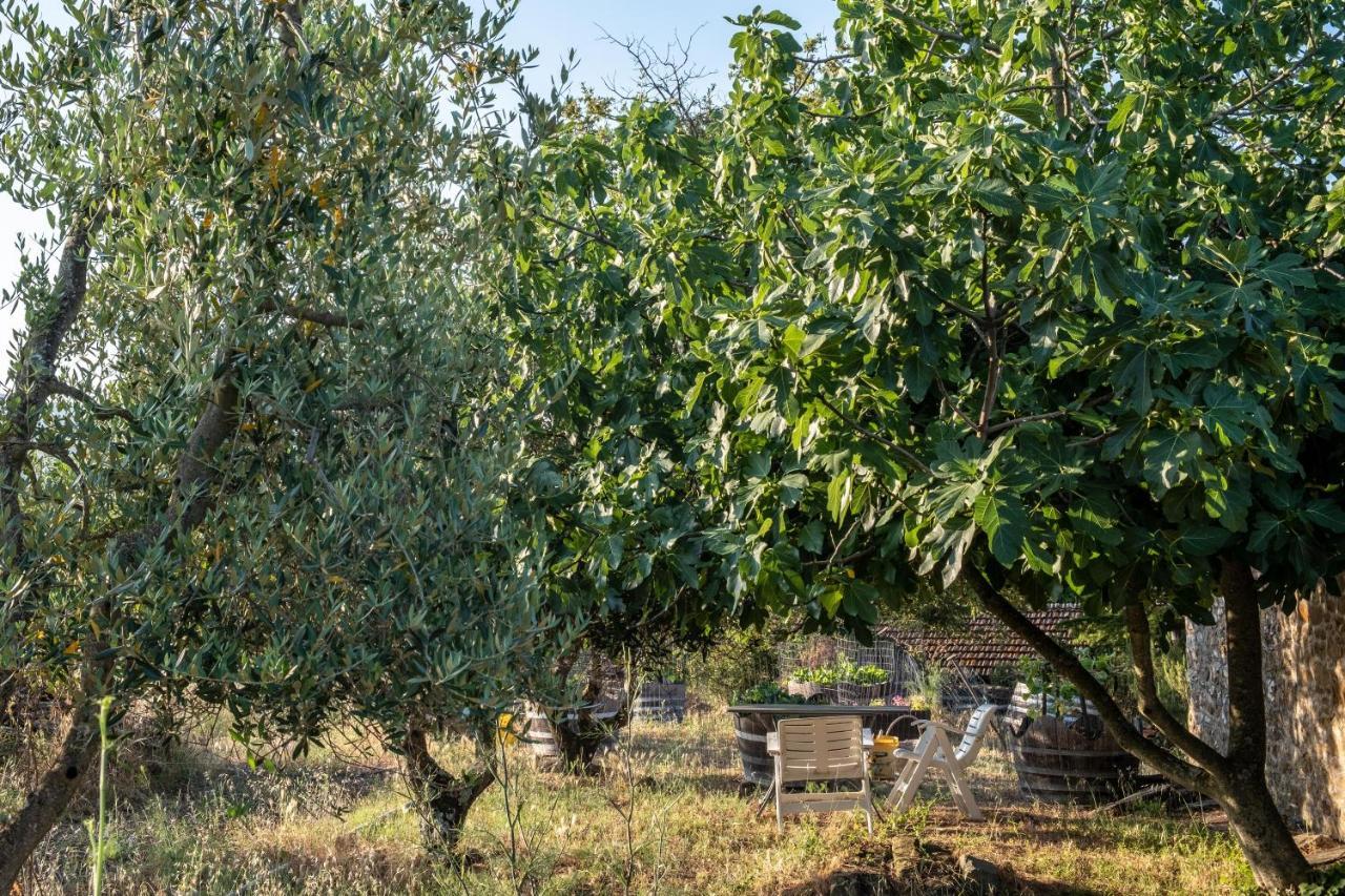 Podere Pruneto رادا إنْ كيانتي المظهر الخارجي الصورة