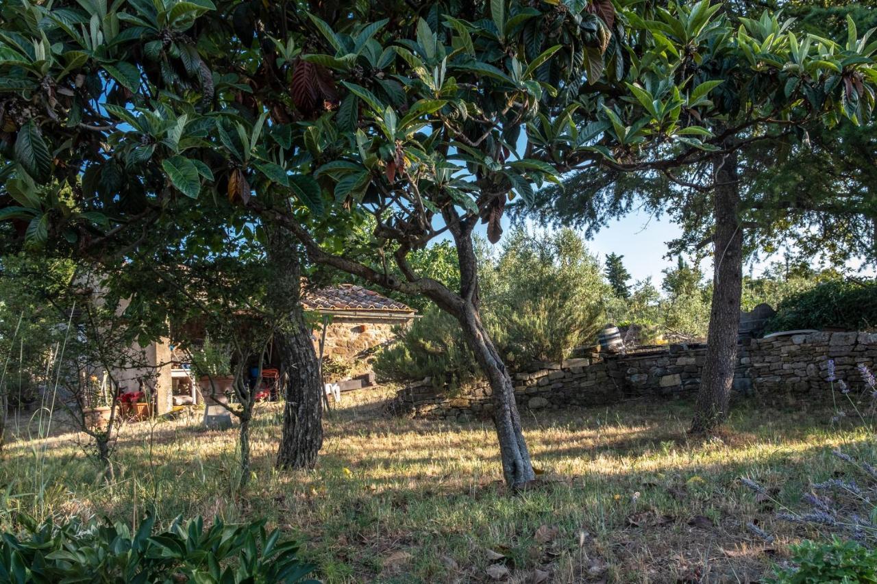 Podere Pruneto رادا إنْ كيانتي المظهر الخارجي الصورة